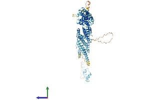 AlphaFold protein structure predicition of Human Recombinant COG2 Protein, UniprotID Q14746 (COG2 Protein (AA 1-738) (His tag))