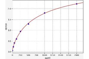 Typical standard curve (Cyclin D3 ELISA Kit)
