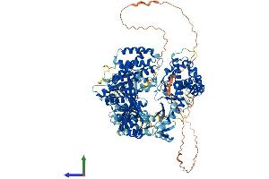 AlphaFold protein structure predicition of Mouse Recombinant Tert Protein, UniprotID O70372 (TERT Protein (AA 1-1122) (His tag))