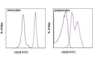 Image no. 1 for anti-Integrin beta 1 (ITGB1) antibody (FITC) (ABIN474137) (ITGB1 antibody  (FITC))