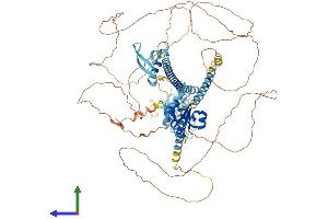 AlphaFold protein structure predicition of Mouse Recombinant Lemd3 Protein, UniprotID Q9WU40