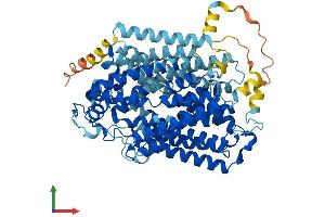 AlphaFold protein structure predicition of Mouse Recombinant Slc5a4a Protein, UniprotID Q9ET37 (Slc5a4a Protein (AA 1-656) (His tag))