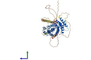 AlphaFold protein structure predicition of Mouse Recombinant Pex5l Protein, UniprotID Q8C437 (Peroxisomal Biogenesis Factor 5-Like (PEX5L) (AA 1-567) protein (His tag))
