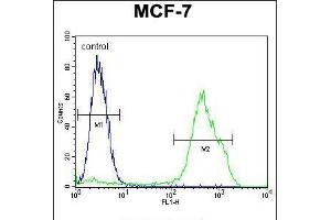 Flow cytometric analysis of MCF-7 cells (right histogram) compared to a negative control cell (left histogram). (RNF19B antibody  (AA 369-398))
