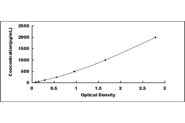 Dysferlin ELISA Kit