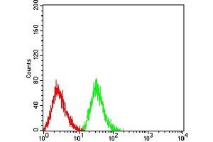 Flow cytometric analysis of HL-60 cells using CD43 mouse mAb (green) and negative control (red). (CD43 antibody  (AA 20-253))