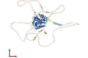 Protein Structure (PS) image for Torsin A Interacting Protein 1 (TOR1AIP1) (AA 1-583) protein (His tag) (ABIN7555834)