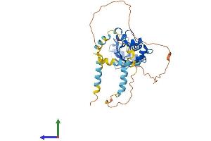 AlphaFold protein structure predicition of Human Recombinant UBE2U Protein, UniprotID Q5VVX9 (UBE2U Protein (AA 1-321) (His tag))