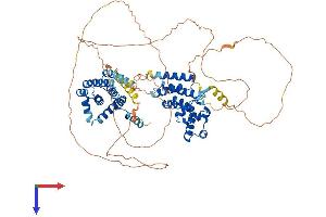 Sterile alpha Motif Domain Containing 4B (SAMD4B) (AA 1-694) protein (His tag)
