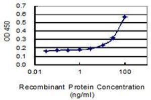 Detection limit for recombinant GST tagged SAR1A is 3 ng/ml as a capture antibody. (SAR1A antibody  (AA 1-198))