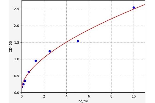NBR1 ELISA Kit