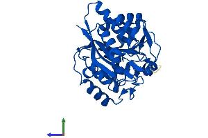 AlphaFold protein structure predicition of Mouse Recombinant Memo1 Protein, UniprotID Q91VH6 (MEMO1 Protein (AA 1-297) (His tag))