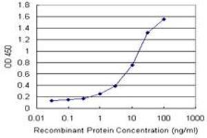 Detection limit for recombinant GST tagged FTL is 1 ng/ml as a capture antibody. (FTL antibody)