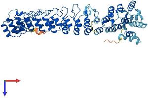 ASB3 Protein (AA 1-518) (His tag)