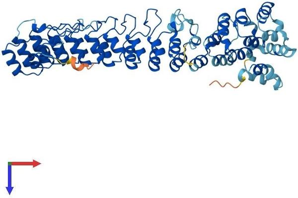 ASB3 Protein (AA 1-518) (His tag)