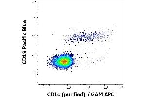 Flow cytometry multicolor surface staining of human lymphocytes stained using anti-human CD1c (L161) purified antibody (concentration in sample 0,33 μg/mL, GAM APC) and anti-human CD19 (LT19) APC antibody (20 μL reagent / 100 μL of peripheral whole blood). (CD1c antibody)