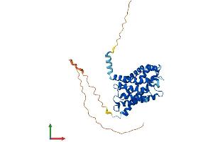 AlphaFold protein structure predicition of Human Recombinant AQP7P3 Protein, UniprotID A6NL99 (AQP7P3 Protein (AA 1-342) (His tag))