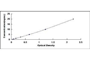 Typical standard curve (MLYCD ELISA Kit)