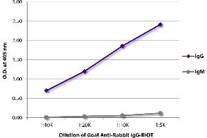 ELISA plate was coated with purified rabbit IgG and IgM. (Goat anti-Rabbit IgG (Heavy Chain) Antibody (Biotin))