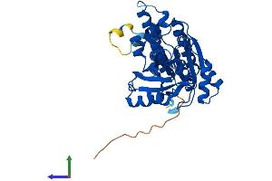 Protein Structure (PS) image for DNA Meiotic Recombinase 1 (DMC1) (AA 1-340) protein (His tag) (ABIN7557744)