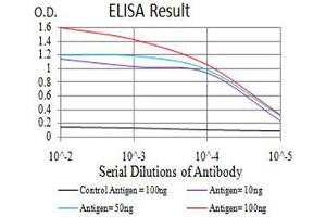 Black line: Control Antigen (100 ng),Purple line: Antigen (10 ng), Blue line: Antigen (50 ng), Red line:Antigen (100 ng) (DDX3X antibody  (AA 518-661))