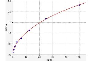 NUDT1 ELISA Kit