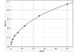 Typical standard curve (NUDT1 ELISA Kit)