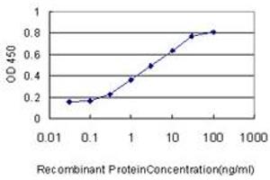 Detection limit for recombinant GST tagged ACYP1 is approximately 0. (ACYP1 antibody  (AA 1-99))