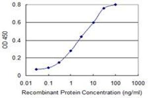 Detection limit for recombinant GST tagged ISG20 is 0. (ISG20 antibody  (AA 1-181))