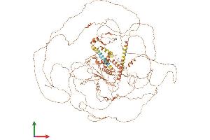 AlphaFold protein structure predicition of Human Recombinant RAD51AP2 Protein, UniprotID Q09MP3 (RAD51AP2 Protein (AA 1-1159) (His tag))