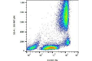 Flow cytometry analysis (surface staining) of human peripheral blood using anti-CD361 antibody (MEM-216) PE. (EVI2B antibody  (PE))