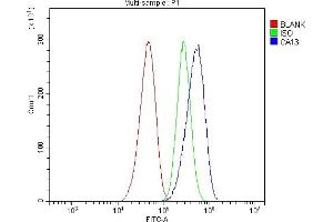 Flow Cytometry analysis of CACO-2 cells using anti-Carbonic Anhydrase 13/CA13 antibody (ABIN7603164). (CA13 antibody  (N-Term))