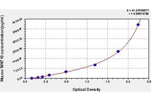 WNT16 ELISA Kit