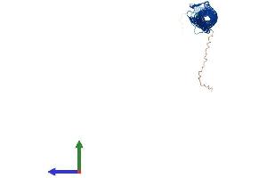 Protein Structure (PS) image for Tektin 2 (Testicular) (TEKT2) (AA 1-430) protein (His tag) (ABIN7544247)