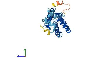 AlphaFold protein structure predicition of Mouse Recombinant Cd81 Protein, UniprotID P35762 (CD81 Protein (CD81) (AA 1-236) (His tag))