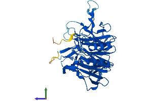 AlphaFold protein structure predicition of Mouse Recombinant Klhdc3 Protein, UniprotID Q8VEM9