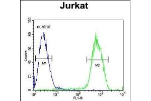 PCDHGC3 Antibody (Center) (ABIN654100 and ABIN2843984) flow cytometric analysis of Jurkat cells (right histogram) compared to a negative control cell (left histogram).