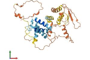 AlphaFold protein structure predicition of Human Recombinant CCNYL3 Protein, UniprotID P0C7X3 (CCNYL3 Protein (AA 1-344) (His tag))