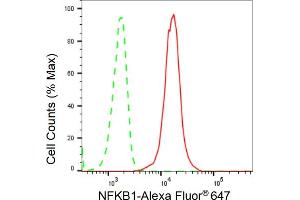 Flow cytometric analysis of NFKB1 expression in C2C12 cells using NFKB1 antibody (ABIN7799638), 1:2,000).