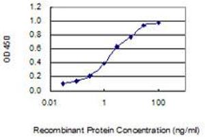 Detection limit for recombinant GST tagged C5orf48 is 0. (TEX43 antibody  (AA 1-134))