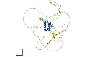 AlphaFold protein structure predicition of Mouse Recombinant Hoxb3 Protein, UniprotID P09026