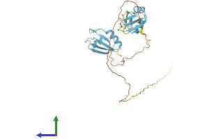 AlphaFold protein structure predicition of Human Recombinant SRSF5 Protein, UniprotID Q13243