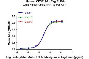 Immobilized Human CD3E at 1 μg/mL (100 μL/Well) on the plate. (CD3 epsilon Protein (CD3E) (AA 23-126) (Fc Tag))