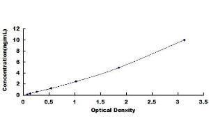 ELISA image for 7-Dehydrocholesterol Reductase (DHCR7) ELISA Kit (ABIN1569402) (DHCR7 ELISA Kit)