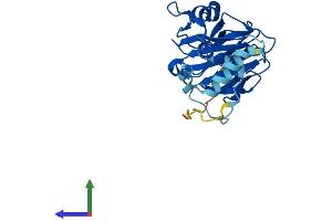 AlphaFold protein structure predicition of Human Recombinant SPSB4 Protein, UniprotID Q96A44