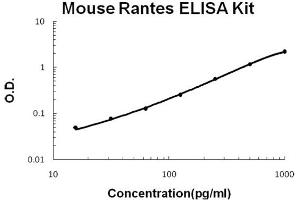 Mouse Rantes Accusignal ELISA Kit Mouse Rantes AccuSignal ELISA Kit standard curve. (CCL5 ELISA Kit)
