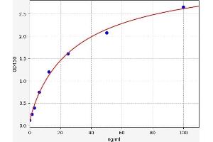 Acetylcholinesterase (AChE) ELISA Kit