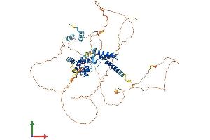 AlphaFold protein structure predicition of Human Recombinant HNF1A Protein, UniprotID P20823 (HNF1A Protein (AA 1-631) (His tag))