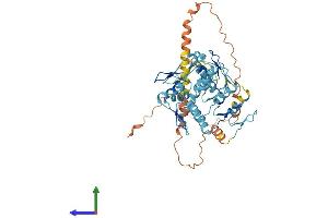 Protein Structure (PS) image for Zinc Finger Protein 486 (ZNF486) (AA 1-463) protein (His tag) (ABIN7545327)