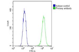 Overlay histogram showing C2C12 cells stained with (ABIN6242236 and ABIN6578878)(green line). (TUBB2A antibody  (AA 194-225))